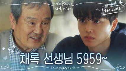 3화#하이라이트#채록이 보호자 나야 나~? 24시간 송강지킴이 박인환