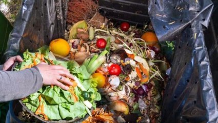 BM'nin raporu Türkiye'deki israfın boyutunu gözler önüne serdi: Çöpe giden gıdalarla 840 milyon insan doyar