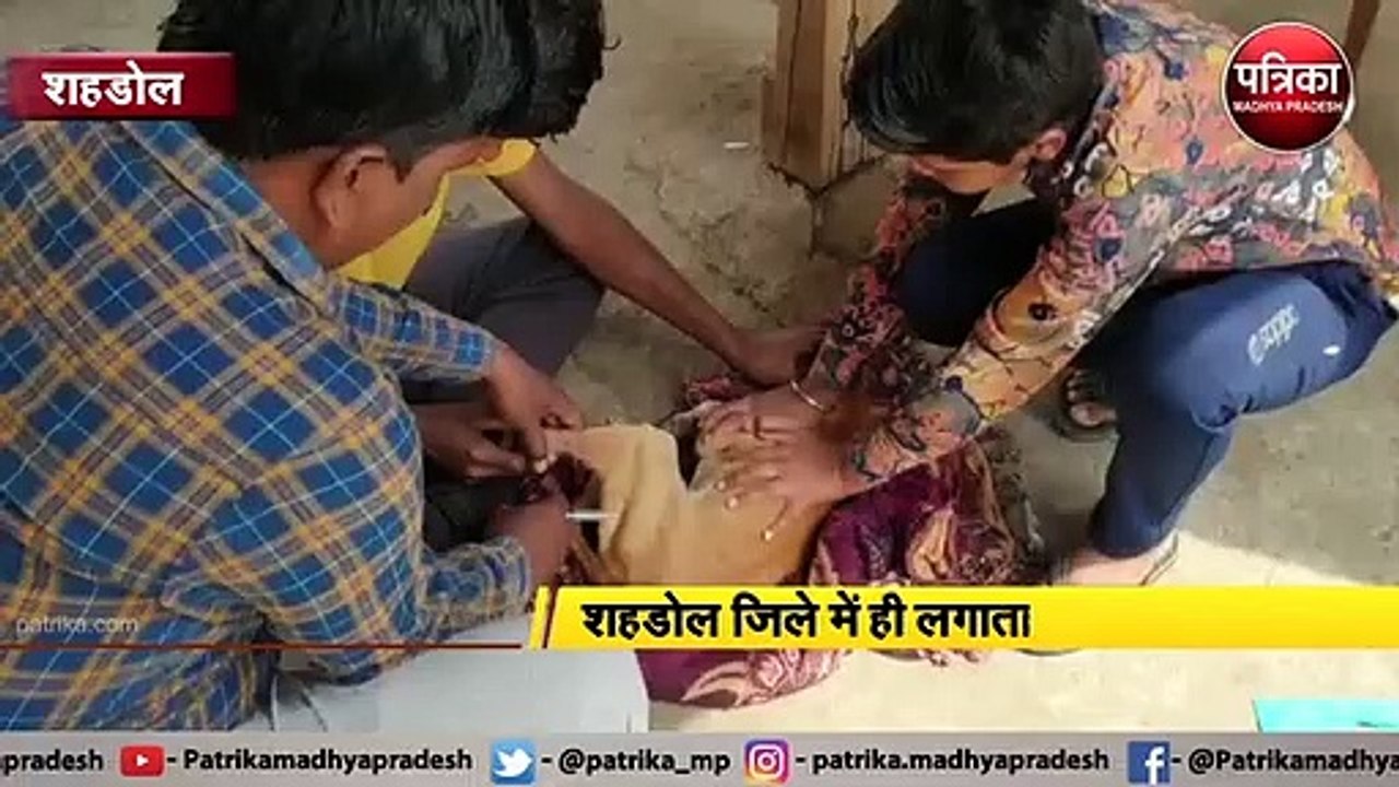 अब 'डॉग्स' में बढ़ रहा जानलेवा 'पार्वो वायरस' क...