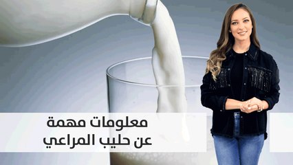 معلومات مهمة عن حليب المراعي