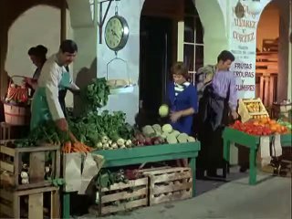 The Flying Nun   1x29   Love Me, Love My Dog .    Sally Feilds