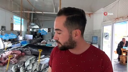 - 3,5 metrelik kılıç balığı görenleri şaşırttı