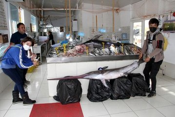 - 3,5 metrelik kılıç balığı görenleri şaşırttı