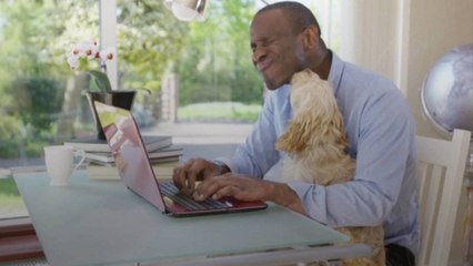 Why Does Your Dog Follow You Everywhere?