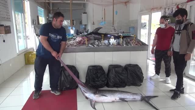 Fethiye açıklarında 80 ve 100 kilogramlık 2 kılıçbalığı oltayla yakalandı