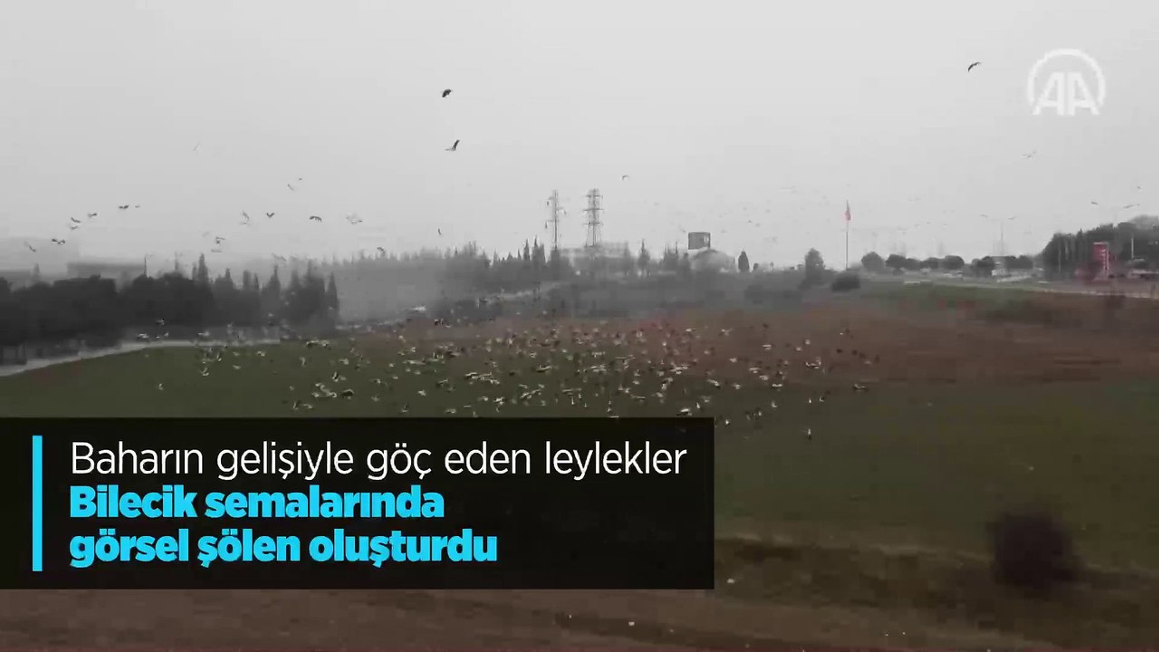 Baharın gelişiyle göç eden leylekler Bilecik semalarında görsel şölen oluşturdu