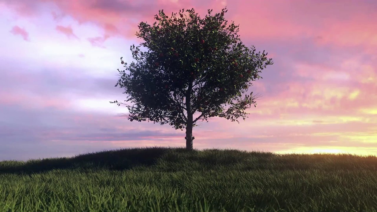 Wonderful landscape with beautiful music to brighten your life.