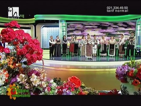 Ioana State - Priceasna (Petrecere romaneasca - Tvh - 12.07.2014)