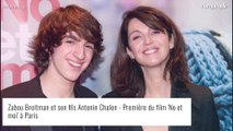 Zabou Breitman : Qui est Fabien Chalon, le père de ses enfants ?