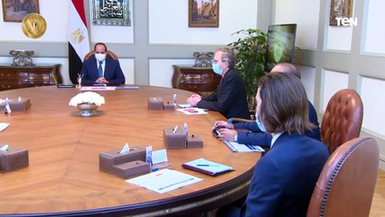 "بهدف تطوير قطاع النقل".. الرئيس السيسي يستقبل رئيس مجموعة «ألستوم» الفرنسية