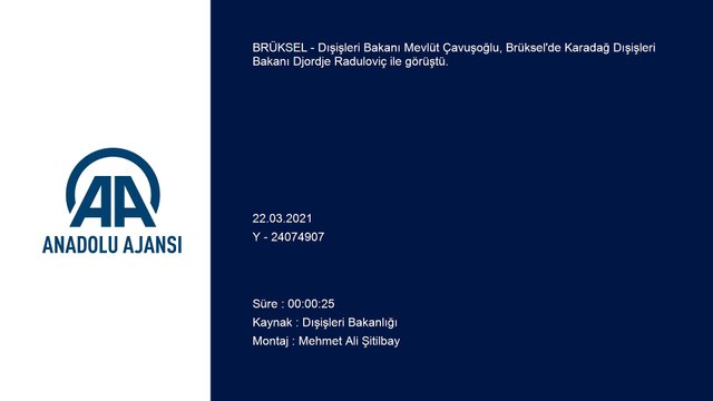 BRÜKSEL - Dışişleri Bakanı Çavuşoğlu, Brüksel'de Karadağlı mevkidaşı Raduloviç'le bir araya geldi