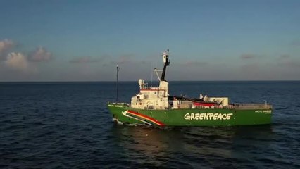 Скачать видео: Los avistamientos de ballenas ayudan a proteger la vida silvestre en el Océano Índico