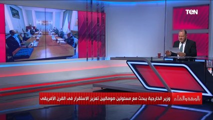 الديهي وصول الدبلوماسية المصرية للصومال مجددا يمثل نقلة نوعية للأمن في منطقة القرن الإفريقي