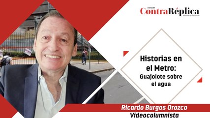 HISTORIAS EN EL METRO: GUAJOLOTE SOBRE EL AGUA