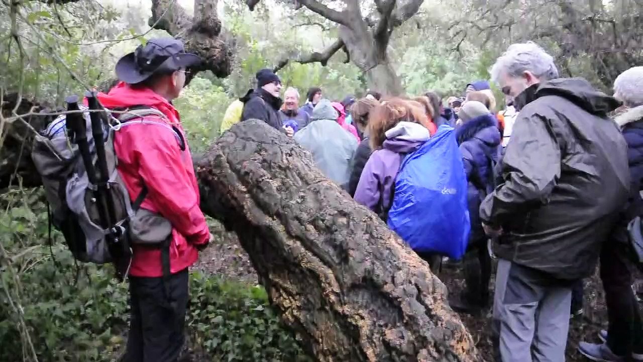 DOM.3-2-19: DA ANZIO A NETTUNO LUNGO TREKKING SULLA COSTA LAZIALE.
