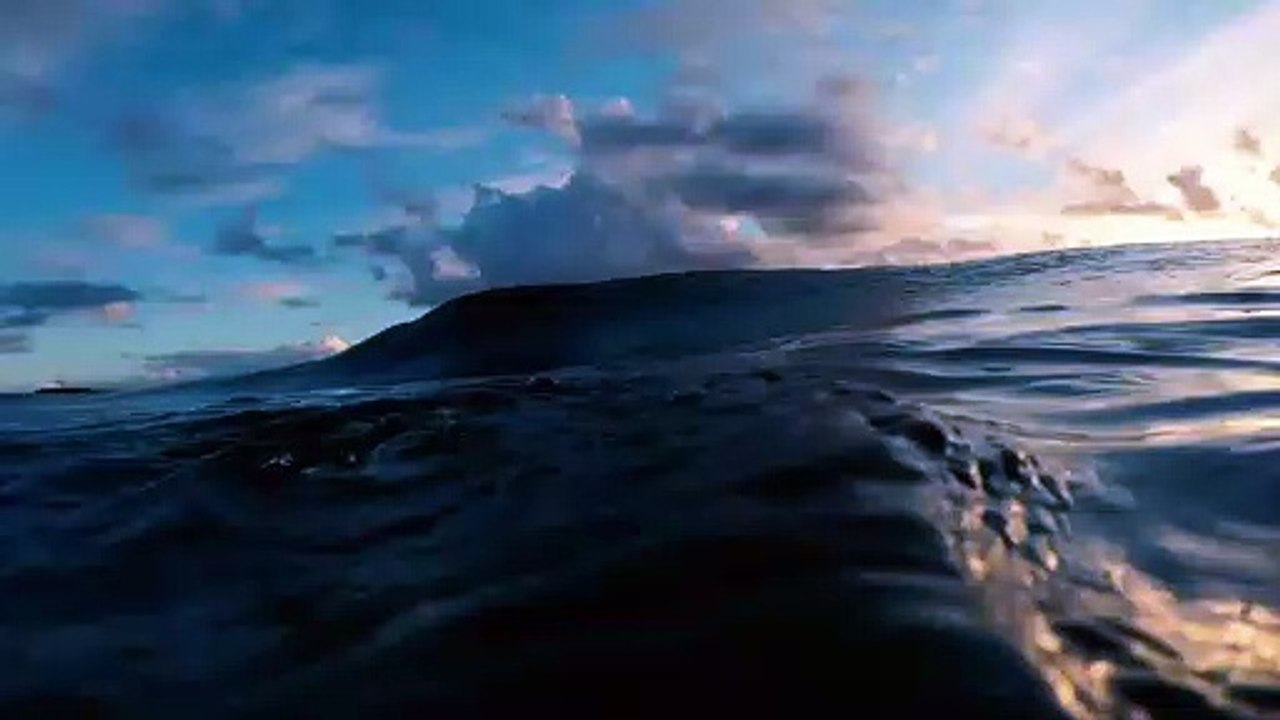 Surf Forecasting Trailer