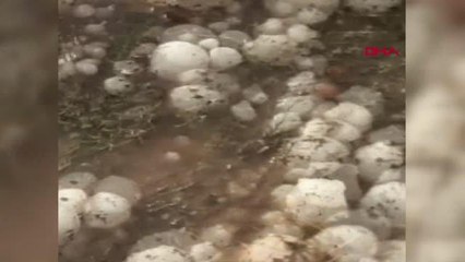 YOZGAT Yozgat'ta ceviz büyüklüğündeki dolu hastanelik etti