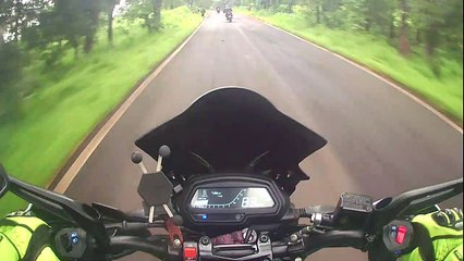 Cow Crossing Road Hits Motorcyclist