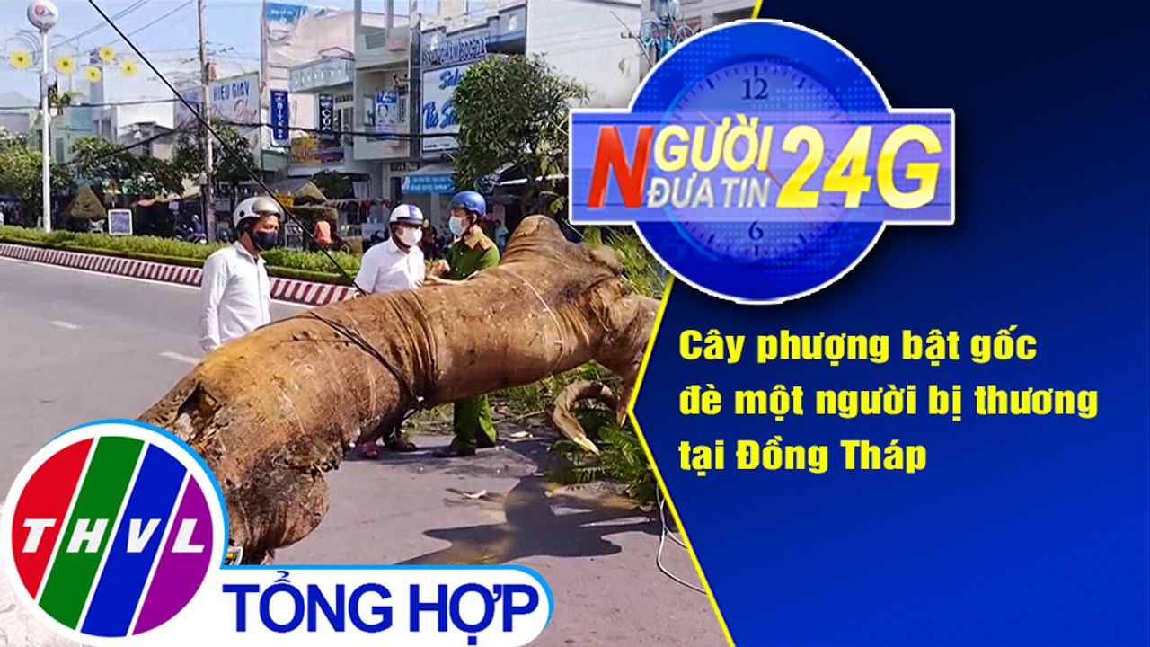 Người đưa tin 24G (6g30 ngày 23/3/2021) - Cây phượng bật gốc đè một người bị thương tại Đồng Tháp