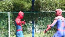 18. SPIDER-MAN vs DOUBLE VENOM in real life Clean The Room Người Nhện bắt Venom dọn nhà