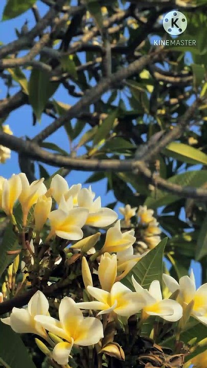 allah bande ke andar kya dekh the | peer zulfiqar ahmad naqshbandi db