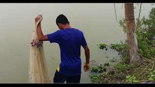 Incredible Poti Fishing Video 2021  Net Fishing. Cat Fishing Video