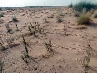 Video: पाकिस्तान से आए तूफानी अंधड़ ने 205 करोड़ का किया नुकसान