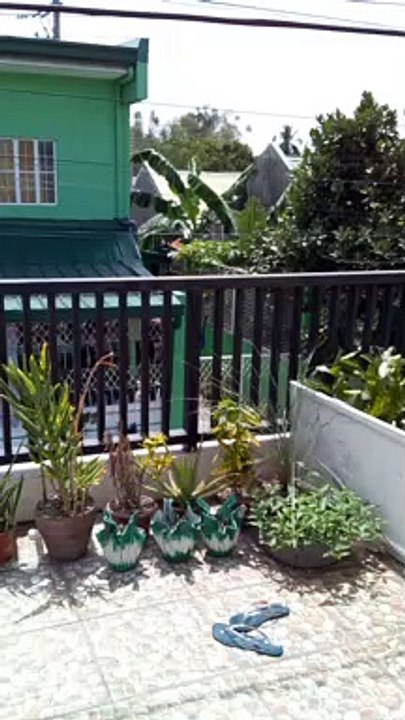 grabee ang init