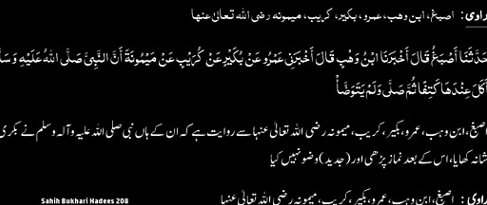 Watch *Hadith 208 Sahih Bukhari*