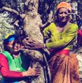 Uttarakhand Women Revive Chipko Movement