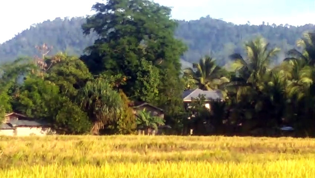 Baryo