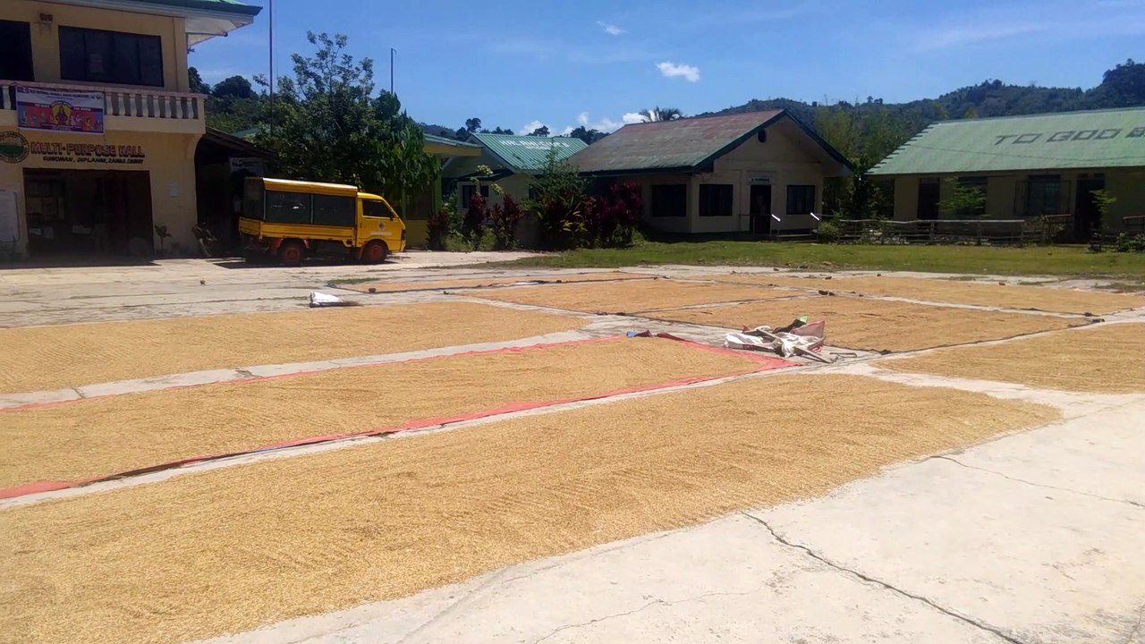 Bilad nang Palay