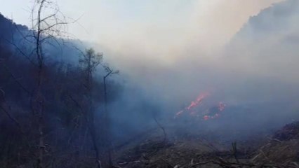 충북 충주시 수안보면 야산에서 산불...헬기 9대 동원 / YTN
