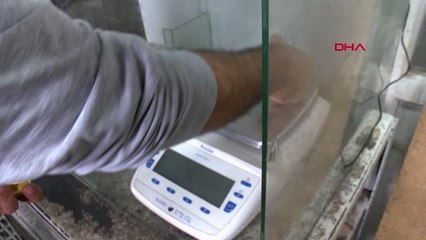 GAZİANTEP 2 kilo 50 gram ağırlığında bilezik yaptı; 1 milyon TL'ye satışa çıkardı