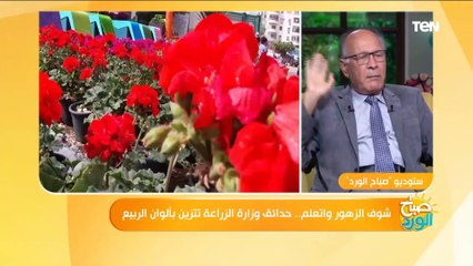 صباح الورد | شوف الزهور واتعلم.. حدائق وزارة الزراعة تتزين بألوان الربيع