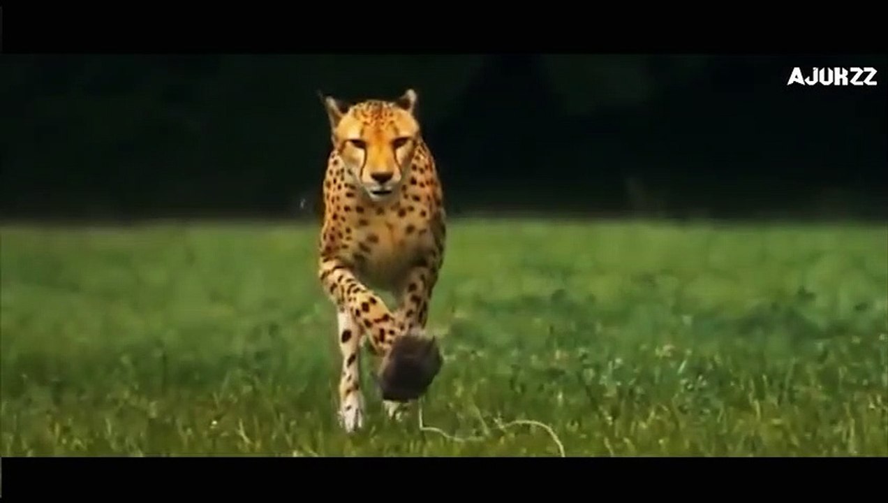 Motivational video   This will change your mind   whatsapp 30 sec video, |short video|,|one mint video|,|whats aap status video|,|short duration video|