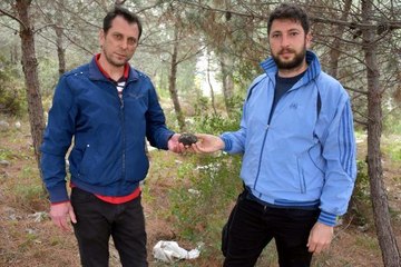 İki işçi, gezintiye çıktıkları dağlık alanda buldukları gizemli taşın sırını çözmeye çalışıyor