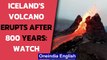 Iceland: Spectacular video of an erupting volcano goes viral, lava flows like river| Oneindia News