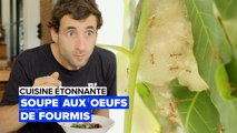 Cuisine étonnante : la soupe aux fourmis