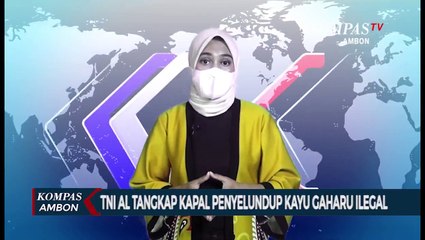 TNI AL Tangkap Kapal Penyelundup Kayu Gaharu Ilegal