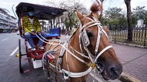 These Intramuros vendors are hopeful as tourist spot gradually opens