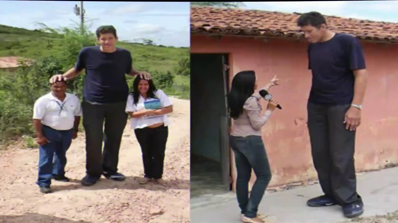 O Gigante Brasileiro