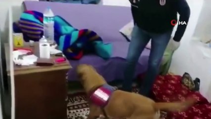 Aksiyon filmlerini aratmayan uyuşturucu operasyonu kamerada