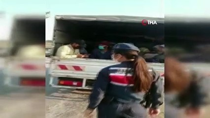 Kamyonetle balık istifi yolculuk kamerada