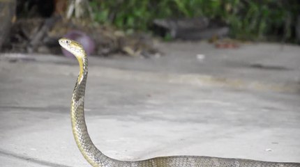 เรื่องพลบค่ำ ช่วงที่ 3 วันอังคารที่ 23 มี.ค.64