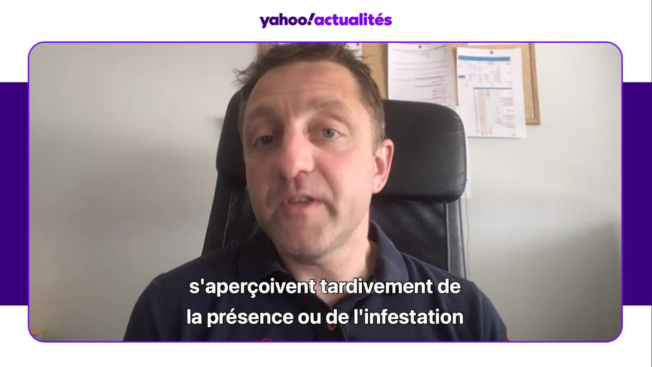 Romain Lasseur : "Les punaises de lit touchent 1,3 million de Français chaque année. Elles ne transmettent pas de maladie mais  leur impact sur la santé mentale des victimes est terrible"