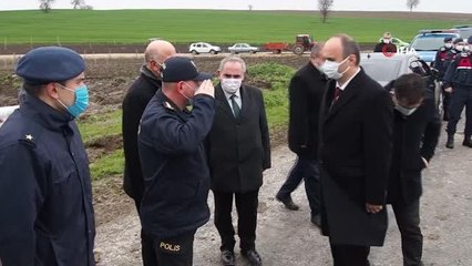 Edirne'de yanan ormanlar küllerinden doğuyor