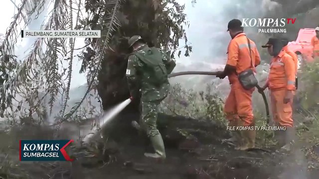 Sanksi Pembakar Lahan Di Sumsel Akan Lebih Tegas