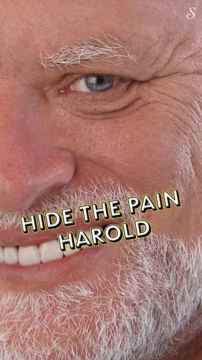 Vous connaissez le mème « Hide the Pain Harold » ?