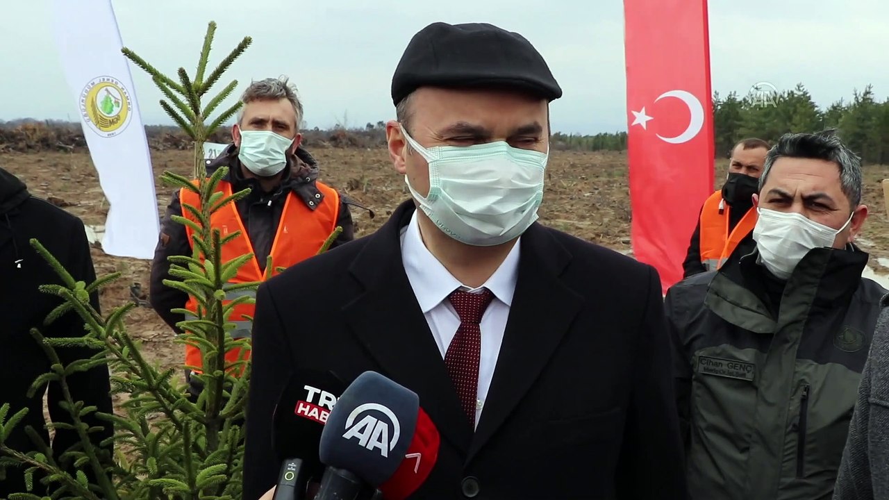 EDİRNE - Geçen yıl yanan alanlara 170 bin fidan dikildi